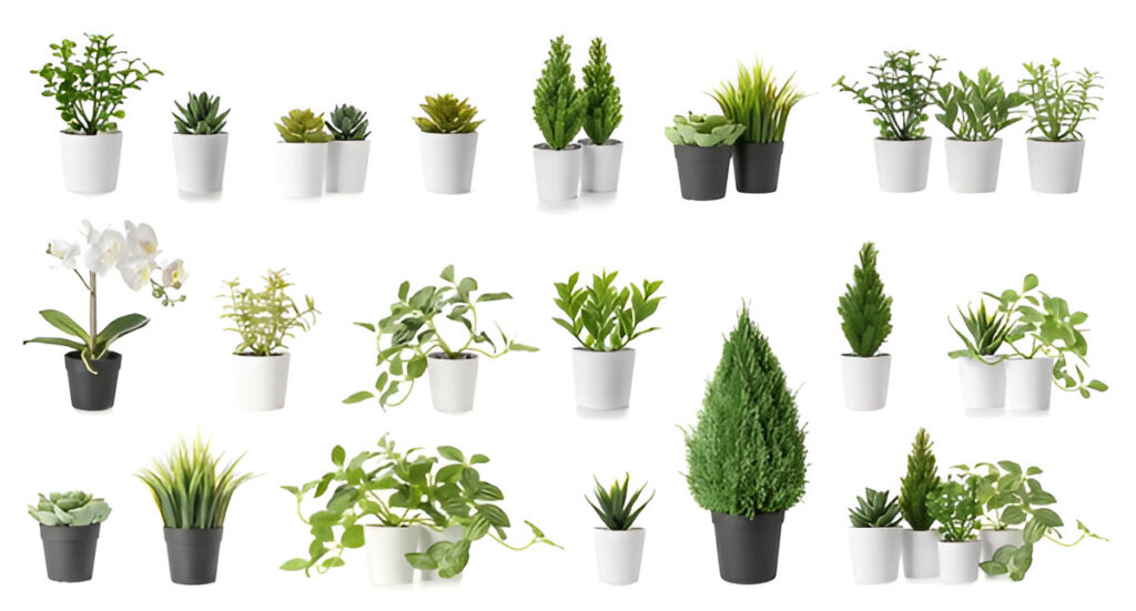 Top 5 Artificial plants shop in chennai