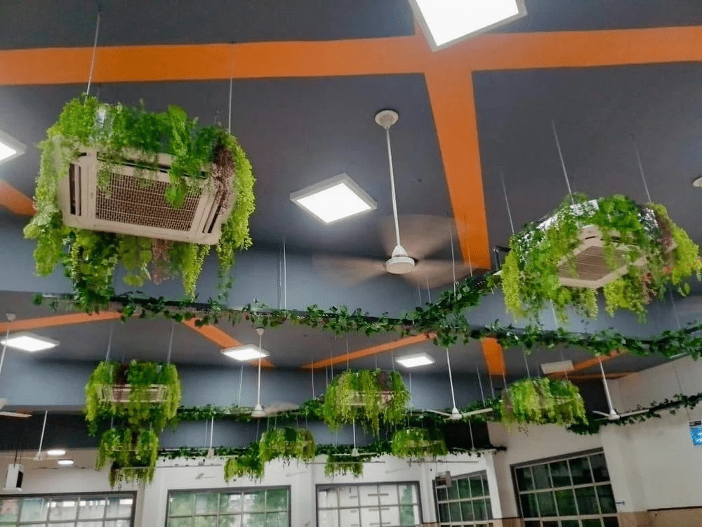 IT Company and Coworking Spaces Are Choosing Artificial Plants