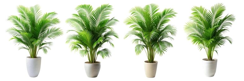 Artificial Areca palm Plants