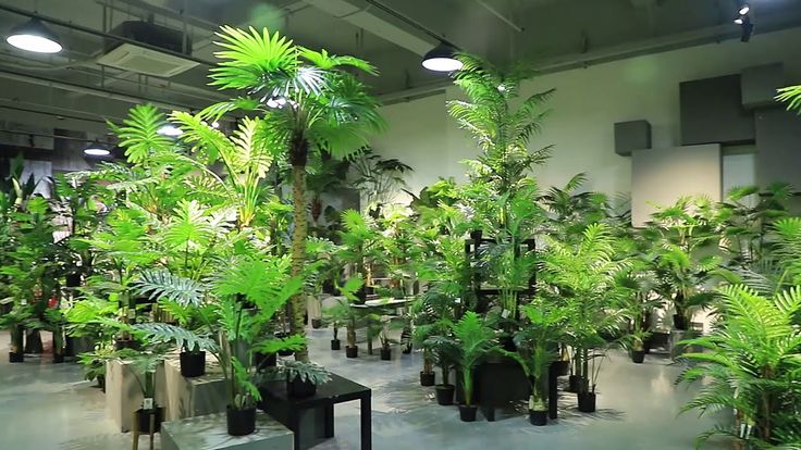 Top Rated Artificial Plants Showroom in Chennai