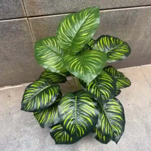 PHILO LINE PLANT