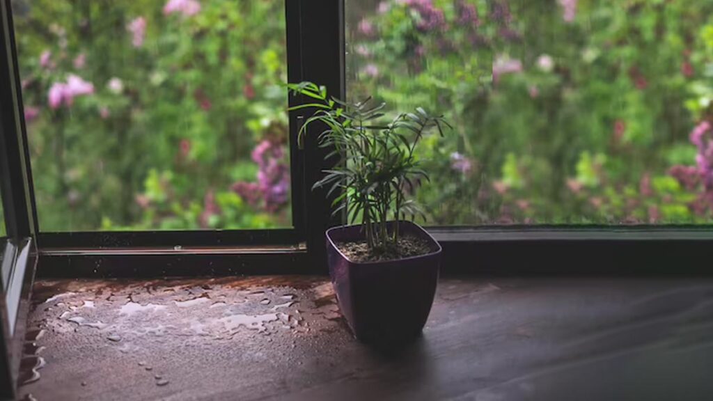 balcony Artificial Plants During Rainy Seasons
