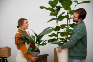 Eco-Friendly Decor in Chennai