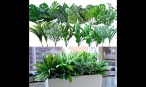 Outdoor Artificial Plants