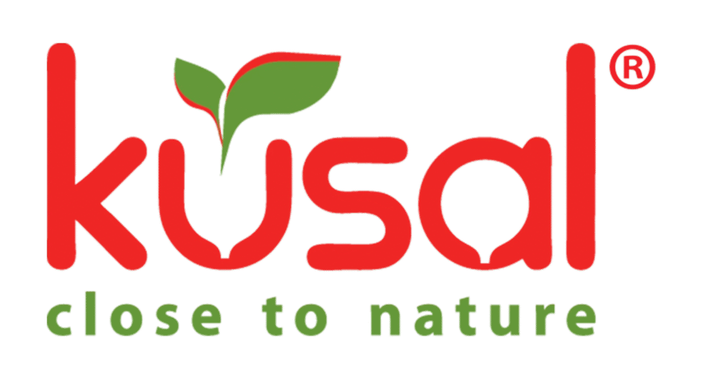 Buy High-Quality Artificial Plants in Chennai & Bangalore