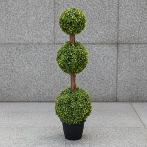 Green Ball Plant with Natural Nilgiri Stem Height 3 feet