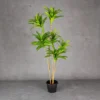 Hawaiian Dracina Plant Green Height-3ft KPLYS-2003GR