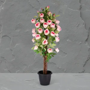 Open Rose Touch Plant KPL-2093-3P Height-3 feet