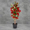 Open Rose Touch Plant KPL-2093-3R Height-3 feet
