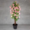Open Rose Touch Plant KPL-2093-3P Height-3 feet