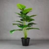 Philo Green Plant 18 Lvs Height -2 f
