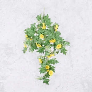 Charmi Creeper Yellow