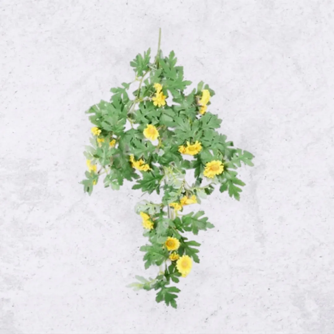 Charmi Creeper Yellow