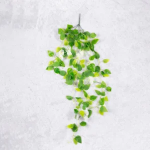 Flower Creeper White