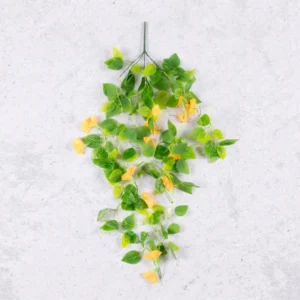 Flower Creeper Yellow