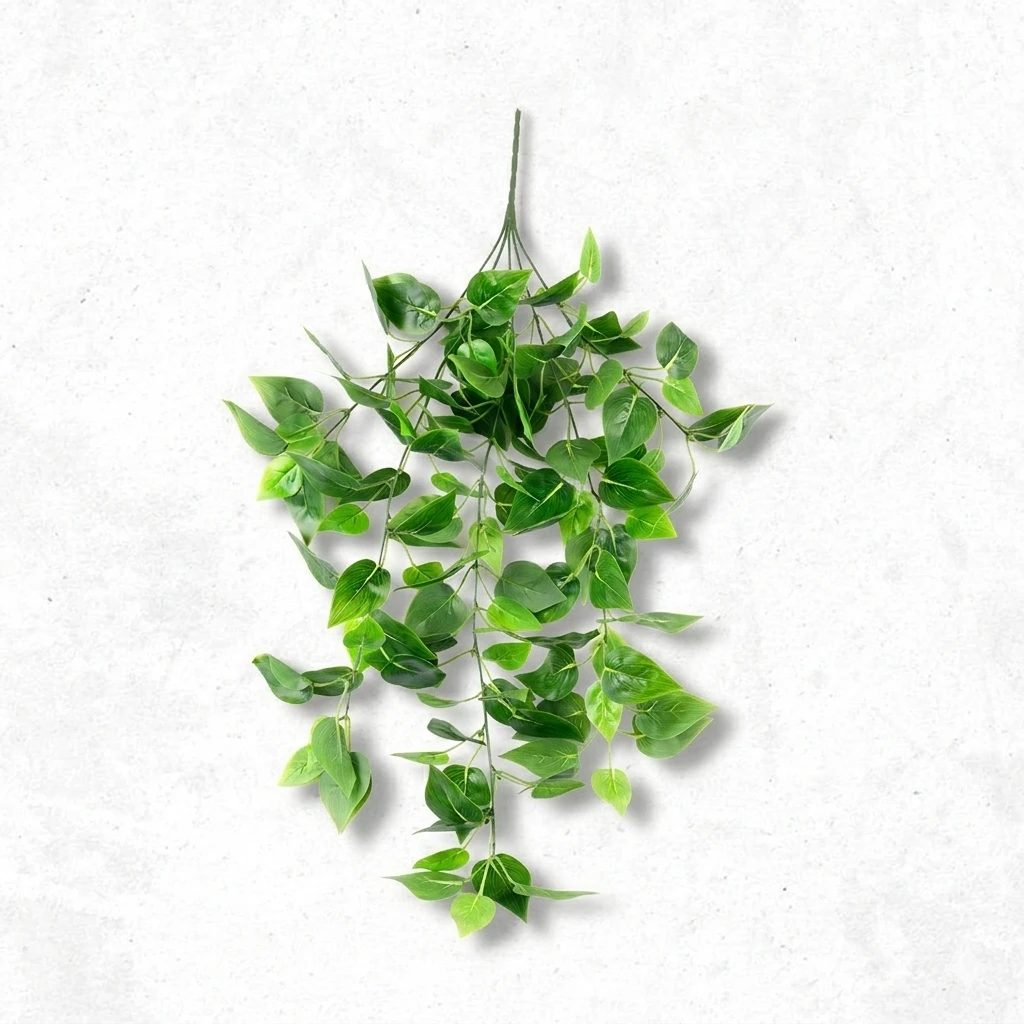 Aspen Green lvs Creeper