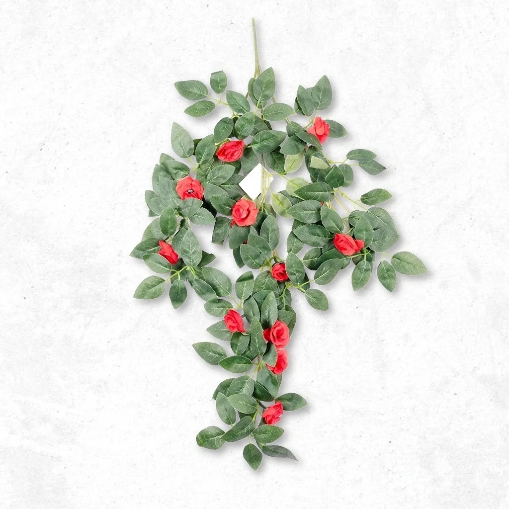 Button Rose Creeper R