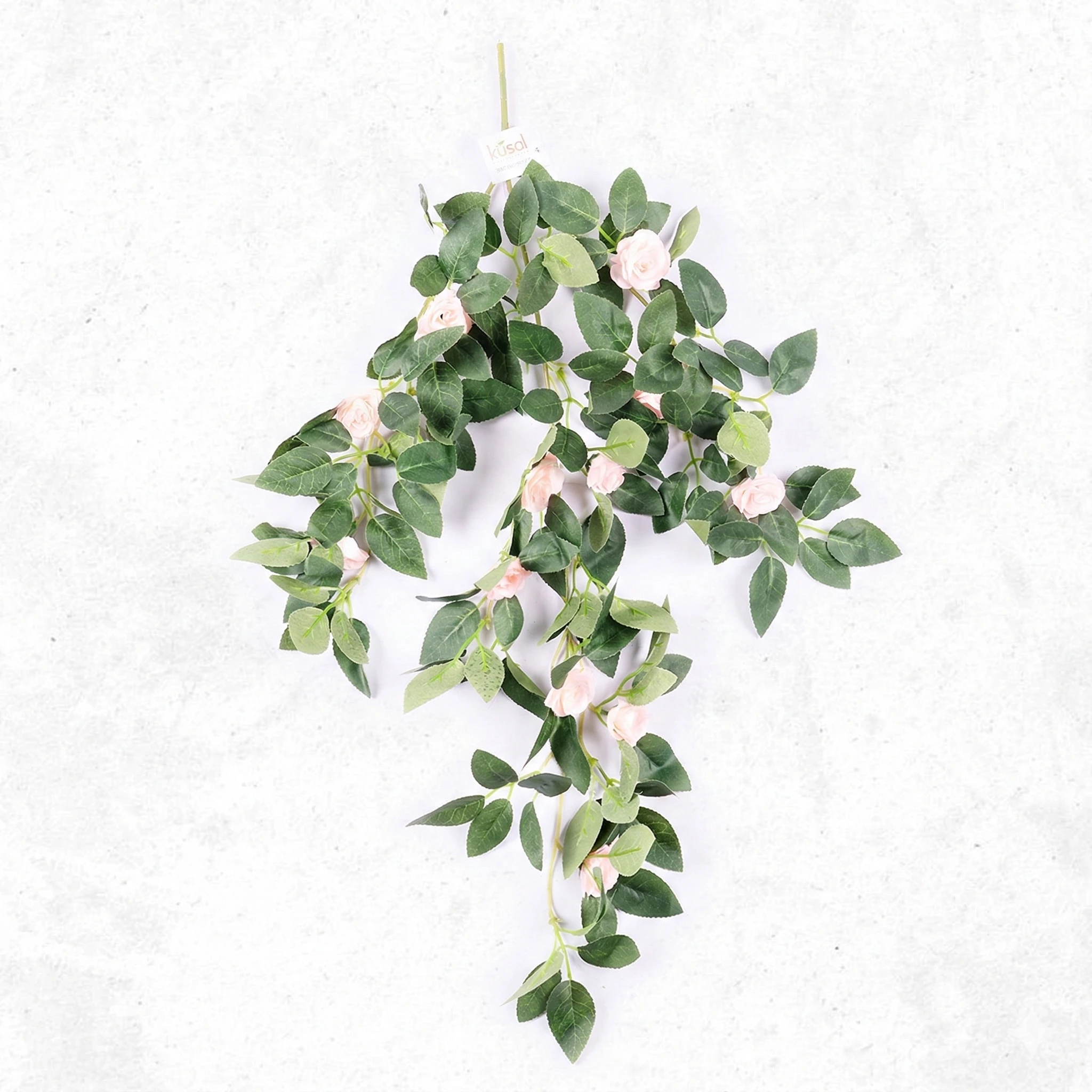 Button Rose Creeper LP