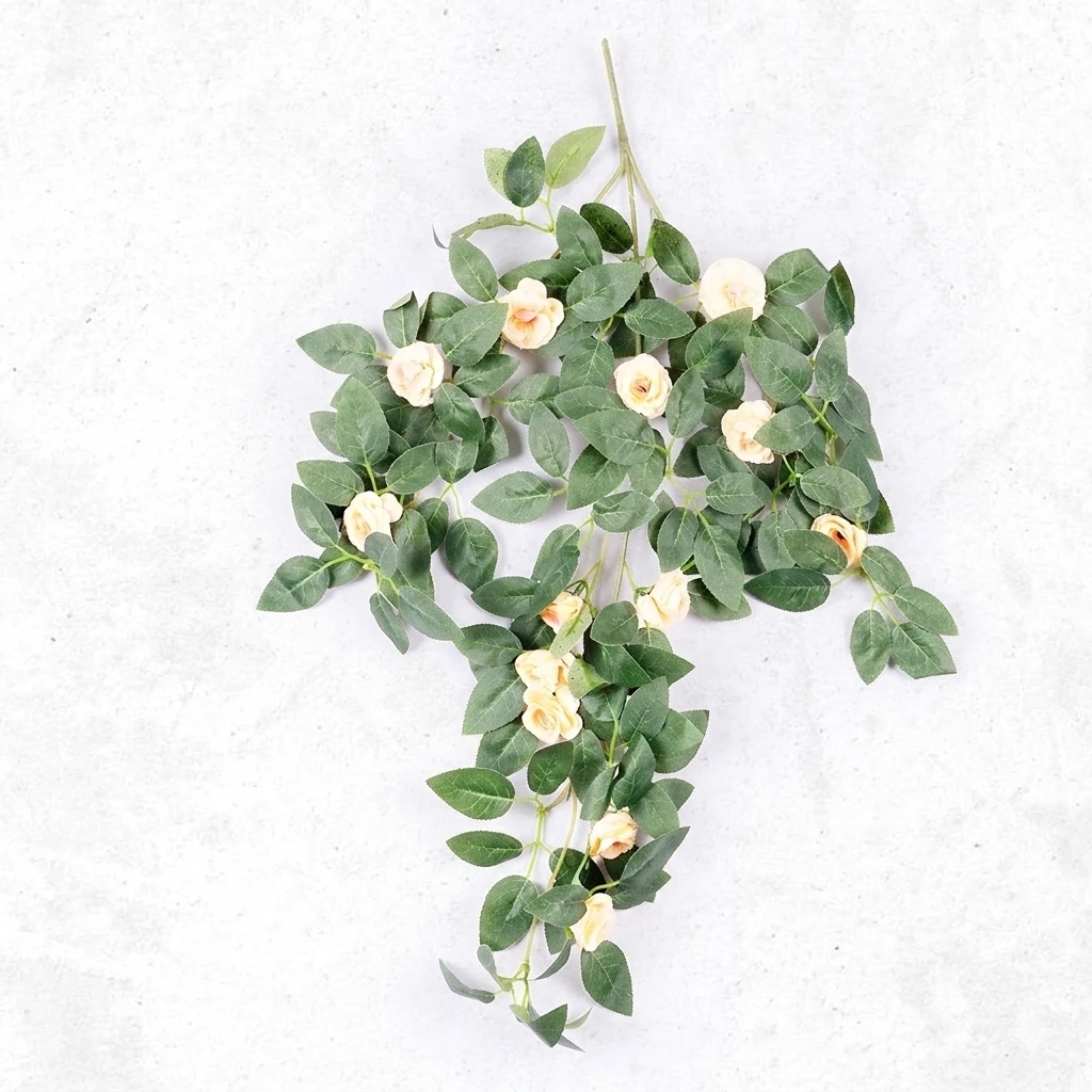 Button Rose Creeper Pch