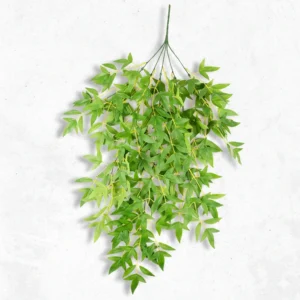Neem Green Creeper