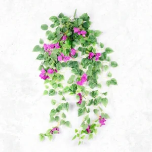 SMA-524-Flower-Creeper-Purple-Rs-395