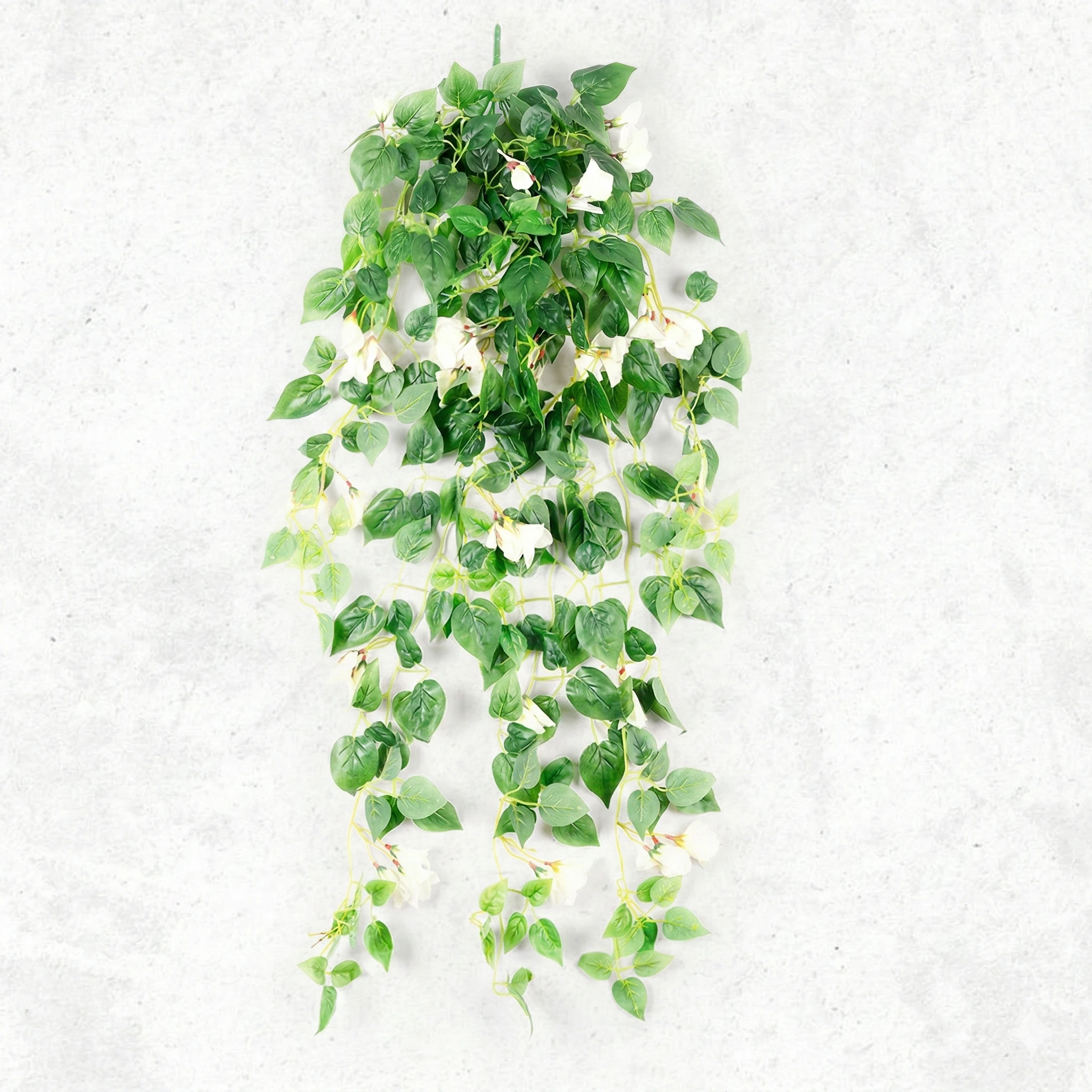 SMA-524-Flower-Creeper-White