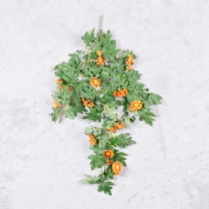 Charmi Creeper Orange