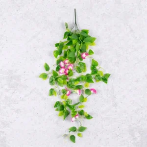 Flower Creeper Pink