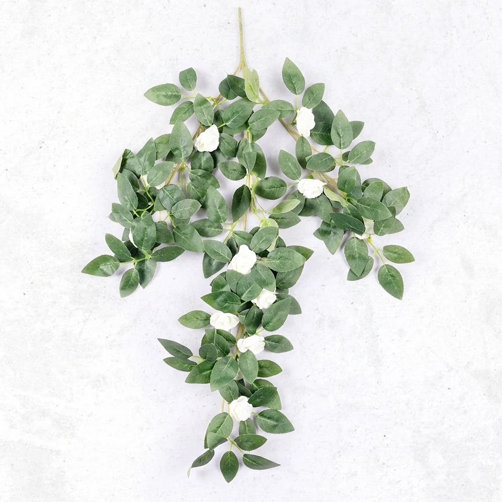 Button Rose Creeper W